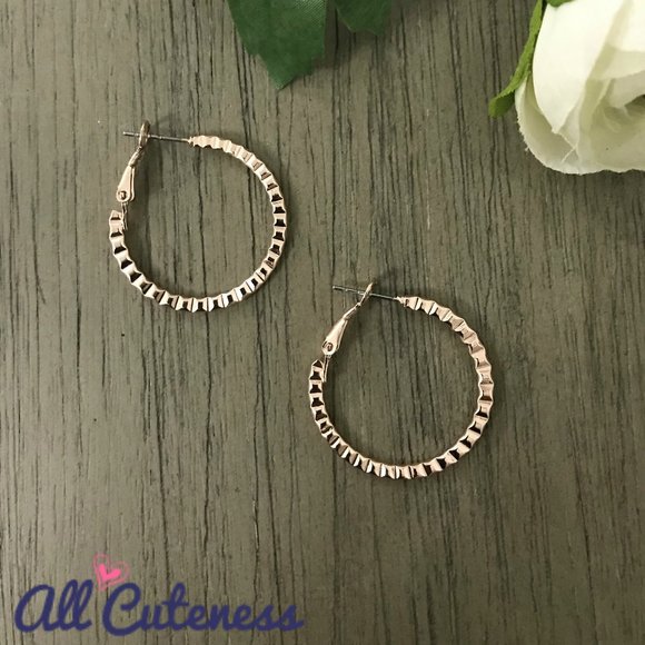 Jewelry - 🎀 (NWOT) Hoop Earrings